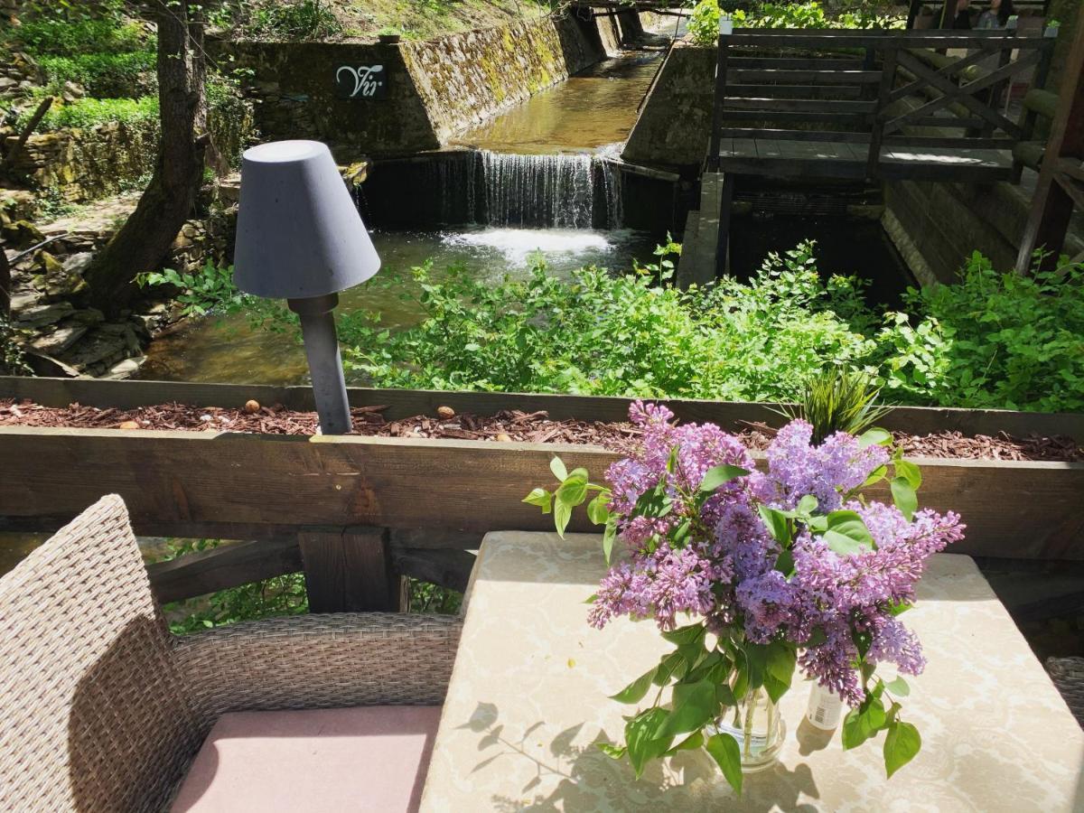 Garni Hotel Vir Vrnjačka Banja Zewnętrze zdjęcie