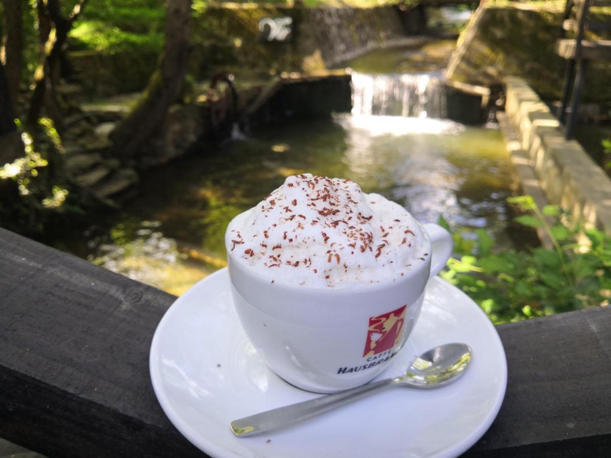 Garni Hotel Vir Vrnjačka Banja Zewnętrze zdjęcie
